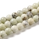 Chapelets de perles de jaspe dendritique naturelle G-H298-A15-02-1
