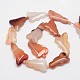 Triangle Natural Agate Bead Strands G-L419-68-2