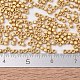 Perles miyuki delica petites SEED-X0054-DBS0331-2