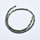 Chapelets de perles en turquoise naturelle G-E446-40-2