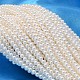 Redondo shell hebras de abalorios de perlas BSHE-L011-2.5mm-A013-1