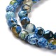Natural Weathered Agate Faceted Round Beads Strands G-A134-02C-6mm-5