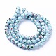Cuisson opaque de perles de verre peintes GLAA-L024-D-23-3