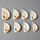 Natural Cowrie Shell Pendants SSHEL-N032-06-1