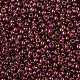 Toho perles de rocaille rondes SEED-TR08-0331-2