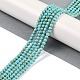 Chapelets de perles en turquoise synthétique&nbsp;G-U004-02E-2