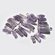Natural Amethyst Graduated Beads Strands G-P319-28-3