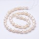 Natural Cultured Freshwater Pearl Beads Strands PEAR-P002-12-2