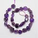 Natural Amethyst Beads Strands G-P184-05-2