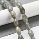 Natural Labradorite Beads Strands G-P520-C08-01-2