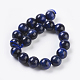 Natürlichen blauen Tigerauge Perlen Stränge X-G-G099-10mm-13-2