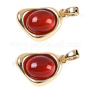 Подвески из натурального сердолика (окрашенные и нагретые) KK-U043-52G-02