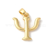 Стойки обшивки латунные подвески KK-Z056-06G