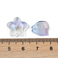 Прозрачные стеклянные бусины градиентного цвета&nbsp;GLAA-B026-01L