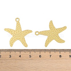 Pendentifs en acier inoxydable 304 avec placage ionique (IP)&nbsp;STAS-C106-04G