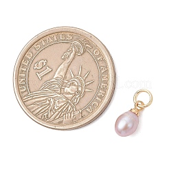 Кулоны в виде рисовых зерен из натурального культивированного пресноводного жемчуга с латунными креплениями.&nbsp;PALLOY-JF05028