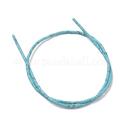 Filo di perline turchesi sintetici&nbsp;G-F631-B16