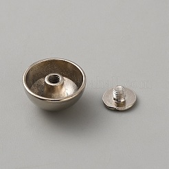 Nieten aus Legierungsnieten&nbsp;FIND-WH20043-137P