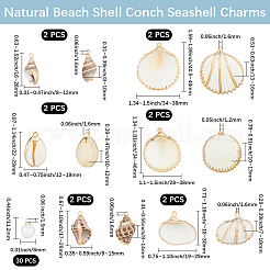 12 pendentif coquillage électrolytique de 6 styles et 30 breloques en plastique ABS imitation perle&nbsp;SSHEL-BBC0001-06