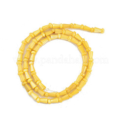 Naturali di acqua dolce perline shell fili&nbsp;SHEL-G013-02H