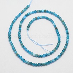Chapelets de perles en apatite naturelle&nbsp;X-G-D856-01-4mm