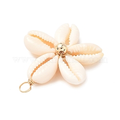 Подвески из натуральных смешанных ракушек каури&nbsp;PALLOY-JF03859-01