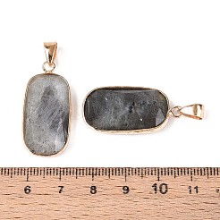 Природные подвески лабрадорита&nbsp;G-N349-03C-G