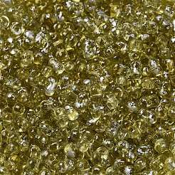 Vaporisez perles de rocaille de verre peintes&nbsp;SEED-F005-02A-04