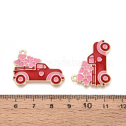 Подвески из эмали и сплава&nbsp;ENAM-T024-06A-G