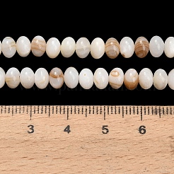 Natürlichen Süßwasser-Muschelperlen Stränge&nbsp;SHEL-C010-04A-01