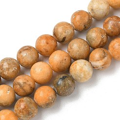 Нити из окрашенных натуральных доломитовых бусин&nbsp;G-D337-8mm-D05