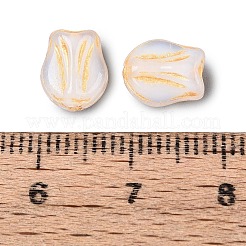 Perles en verre&nbsp;GLAA-T021-76M-01