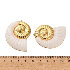 Подвески из акрила из нержавеющей стали 304&nbsp;STAS-C152-27A-G