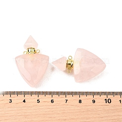 Pendentifs de bouteille de parfum en pierre mélangée naturelle&nbsp;G-L623-10G