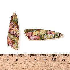 Кулоны из крашеного натурального регалита / императорской яшмы / морской яшмы&nbsp;G-T143-25A