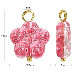 30шт 5 цвета подвески лэмпворк ручной работы&nbsp;PALLOY-CJ0002-66