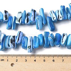 Brins de perles de trocas naturelles teintes&nbsp;SSHEL-C013-09F