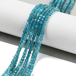 Fili di perline di apatite blu naturale&nbsp;G-H042-B12-01B