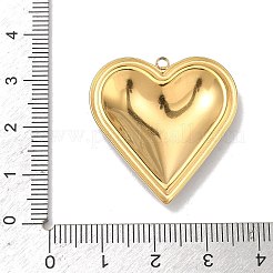 Подвески из нержавеющей стали 304 с эмалью&nbsp;STAS-K295-52G-02