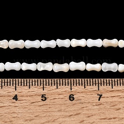 Нити бусин из натуральных пресноводных ракушек&nbsp;SHEL-A006-04A