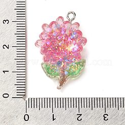 Подвески из смолы&nbsp;LS-RESI-Q012-02B