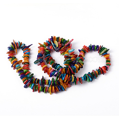 Нити бусин из натуральной ракушки SHZM007