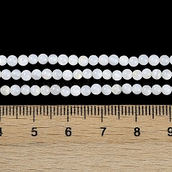 4 нить бусин из натуральных пресноводных ракушек&nbsp;BSHE-NB0001-33