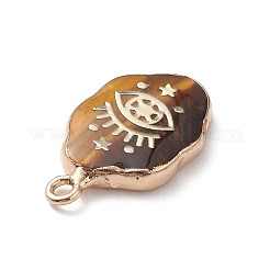 Природных тигровый глаз подвески&nbsp;X-G-K333-01J