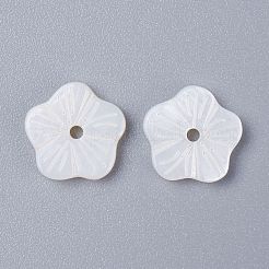 Shell perle naturali di acqua dolce&nbsp;X-BSHE-I016-06