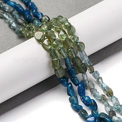 Fili di perline di apatite naturale di colore sfumato&nbsp;G-L610-B12-01