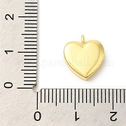 Настоящая 18-каратная позолоченная стойка с покрытием из латуни с микропаве из кубических цирконий подвески-шармы&nbsp;KK-S396-04B