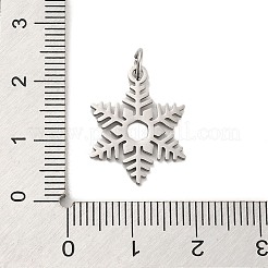 Anlaufgeschützte Weihnachtsanhänger aus 304 Edelstahl&nbsp;STAS-K265-09P