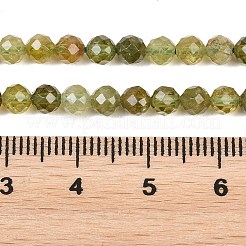 Natürlichen grünen Granat Perlen Stränge&nbsp;G-B181-A01-4mm