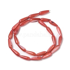 Naturali di acqua dolce perline shell fili&nbsp;SHEL-A004-03F